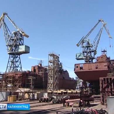 На заводе «Янтарь» начинают возводить два больших десантных корабля