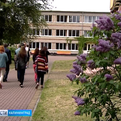 В Калининградской области летом будут работать более 270 внешкольных учреждений