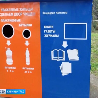 В Калининграде появятся площадки для раздельного сбора отходов