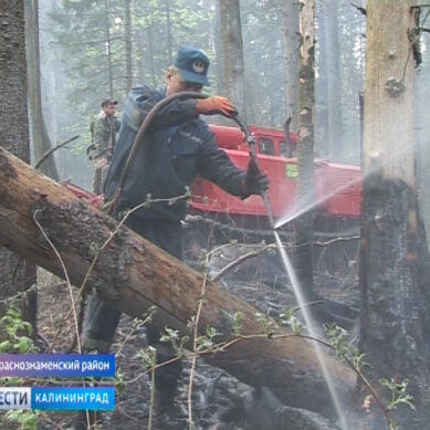 Лесохрана продолжает борьбу с лесными пожарами в Калининградской области