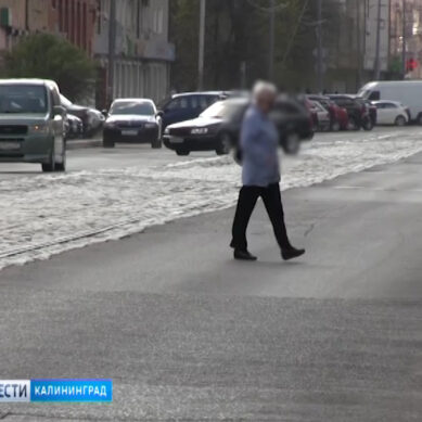 Почти три тысячи пешеходов наказали за нарушения ПДД в Калининградской области