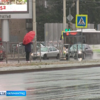 В Калининграде ожидается усиление западного ветра