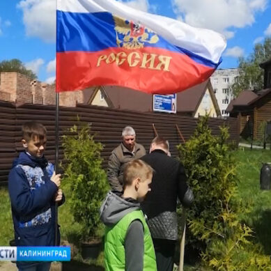 В Калининграде озеленили территорию мемориального камня в память о сотрудниках железнодорожной милиции
