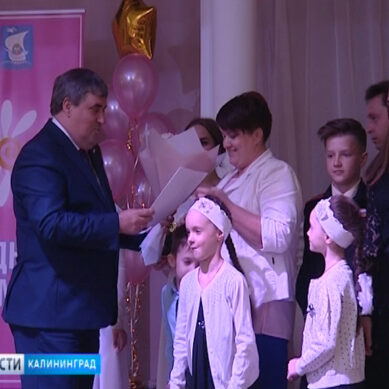 В честь Международного дня семьи в Калининграде отметили 10 лучших пар