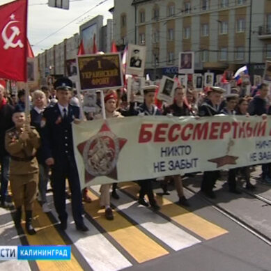 По улицам Калининграда прошел многотысячный «Бессмертный полк»