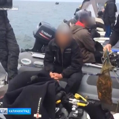 ФСБ провела морскую операцию против нелегальных добытчиков янтаря