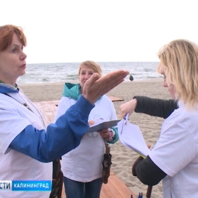 Власти и общественники проверили пляжи Калининградской области
