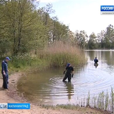 Калининградские озера готовят к купальному сезону