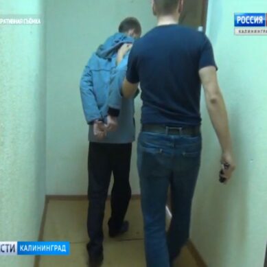 В Калининграде полицейские задержали грабителя, напавшего на пенсионерку