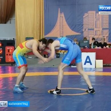 В Калининграде прошел международный турнир по вольной борьбе