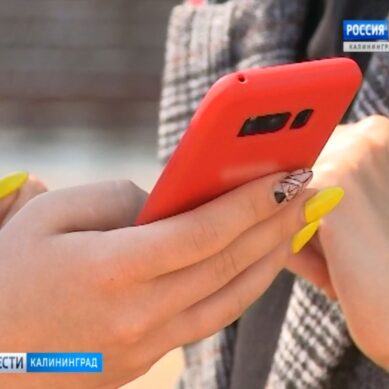 Калининградка пойдет под суд за клевету в социальной сети