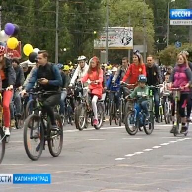 В Калининграде прошёл праздник «День колеса»