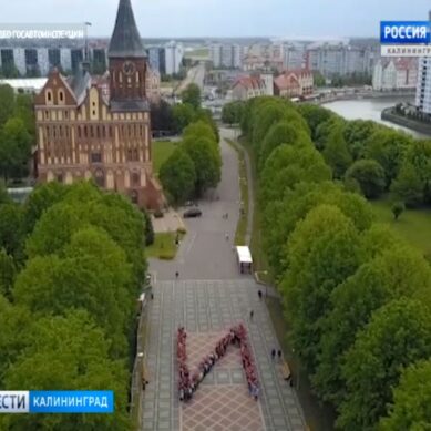 Калининградские школьники приняли участие в акции, попавшей в Книгу рекордов России