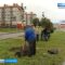 В Калининградской областной Думе рассмотрят проект закона «Об охране зелёных насаждений»
