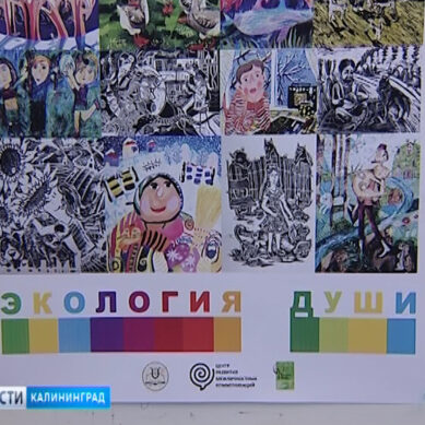 В Калининграде открылась выставка конкурса детского творчества «Экология души»