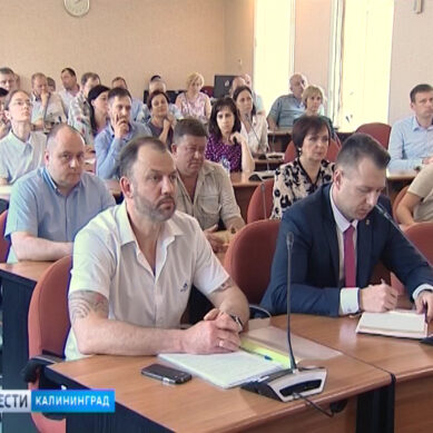 В Калининградской области презентовали программу поддержки мусоропереработчиков