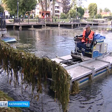 Машина-амфибия борется с водорослями на озере Поплавок