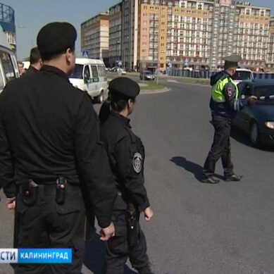 В Калининградской области за неделю приставы арестовали 36 автомобилей