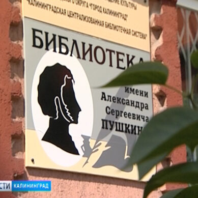 В Калининграде у библиотеки им. А.С. Пушкина откроется «Читай-дворик»