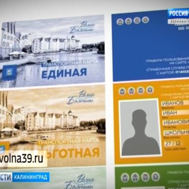 Калининградская мэрия продемонстрировала транспортную карту «Волна»