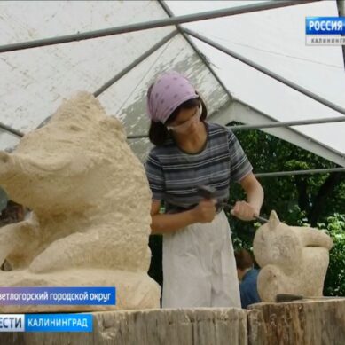 Юные скульпторы создали свои работы из камня на побережье Янтарного края