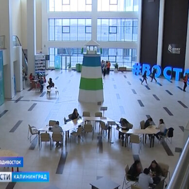 Калининградцы принимают участие на всероссийском образовательном форуме во Владивостоке