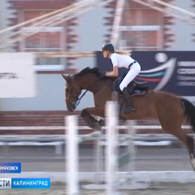 В Черняховске состоялся турнир по конному спорту