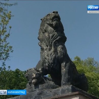 На ремонт исторических элементов входа в Калининградский зоопарк выделят 15 млн рублей