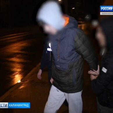 Задержан владелец телеграм-каналов по продаже наркотиков в Калининграде