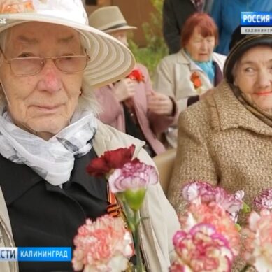 Владимир Путин лично поздравит долгожителей Калининградской области
