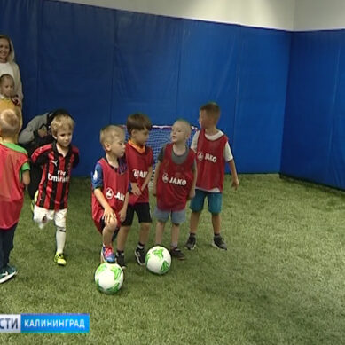 Ребятам дошкольного возраста дали открытый урок по футболу