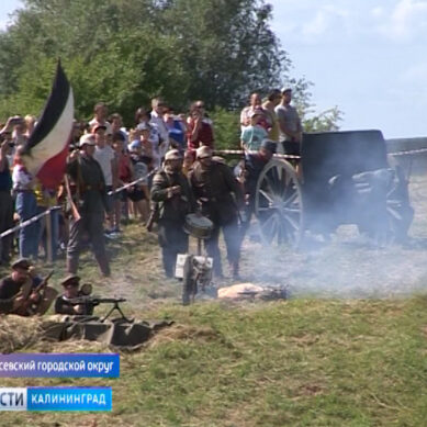 Военно-исторический фестиваль «Гумбинненское сражение» пройдёт 8 сентября
