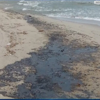 На побережье Балтийской косы выбросило нефтепродукты