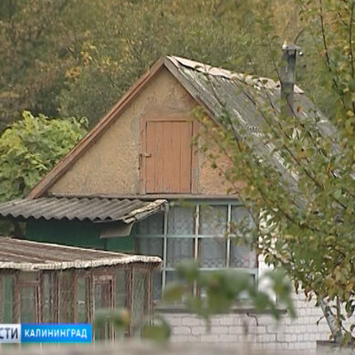 В Калининградской области стартует проверка садовых обществ