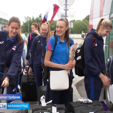 Женская сборная России по волейболу прилетела в Калининград