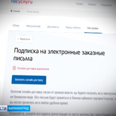 В Калининградской области реализуется проект отправки заказных писем от госорганов в электронном виде