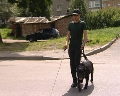 В регионе услугами собак-поводырей пользуются всего трое инвалидов по зрению