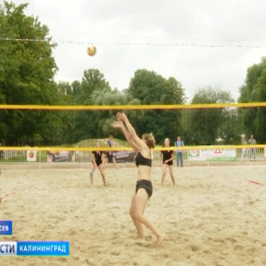 В Гусеве открыли площадку для пляжного волейбола