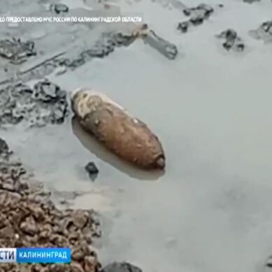 На Каштановой аллее обнаружили боеприпас времён Великой Отечественной войны
