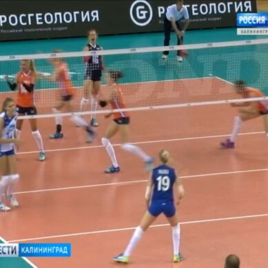 В Калининграде стартует Кубок губернатора по волейболу