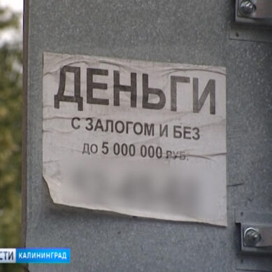 Количество «чёрных кредиторов» в России выросло на 70%
