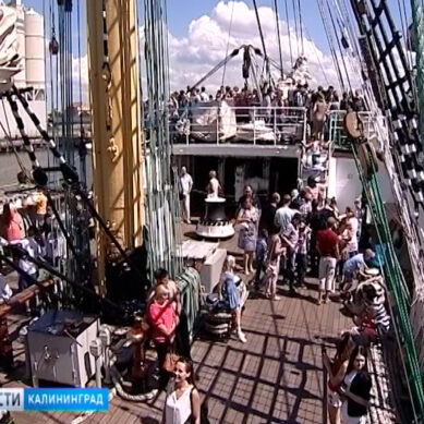 Калининградцы смогут прогуляться по палубам барков «Седов» и «Крузенштерн»
