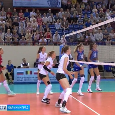 Женская сборная России по волейболу одолела сборную Германии