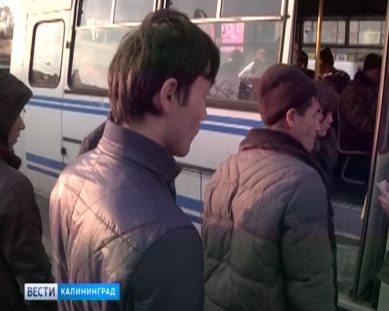 19 нелегальных мигрантов отправлены за пределы России