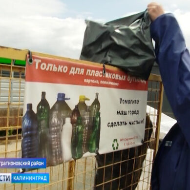 Жители посёлка Нивенское перешли на раздельный сбор мусора