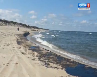 С побережья на Балтийской косе вывезено 28 кубометров загрязнённого нефтью песка