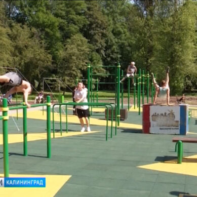 Бесплатные занятия спортом: в Калининграде стартует проект «Дворовый тренер»