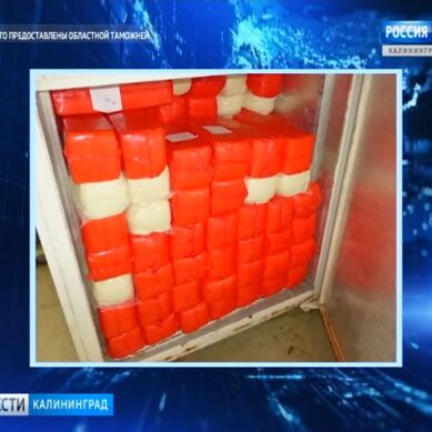 Калининградец пытался ввезти в область более 400 кг санкционного сыра