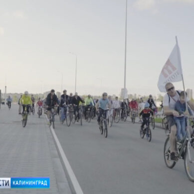 Вокруг стадиона «Калининград» состоялся благотворительный велопробег