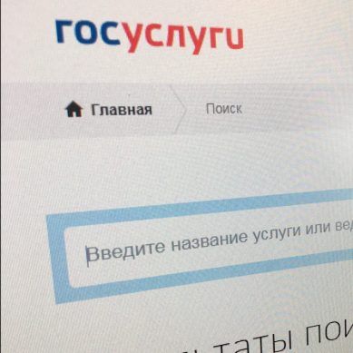 В России расширят список услуг, которые можно получить в электронной форме